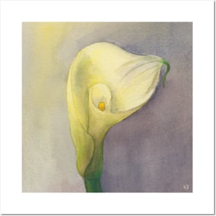 Calla Lily Flower Posters and Art